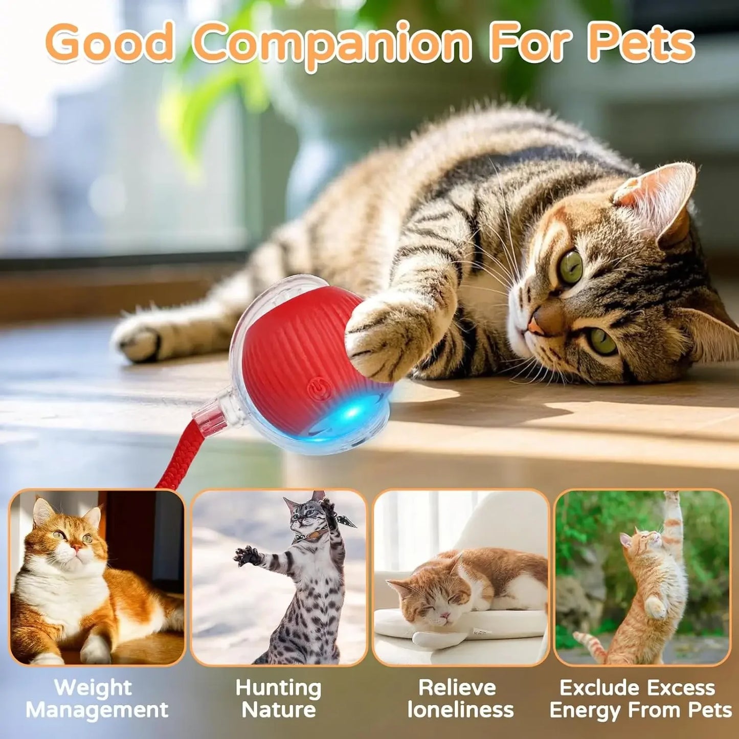 Interactive Rolling Cat Ball Toy – Rechargeable With Sounds