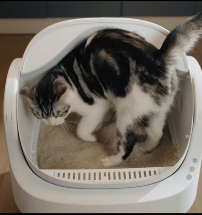 Paw Cycle
