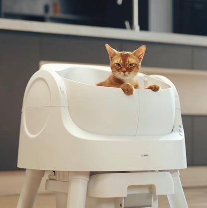 Paw Cycle