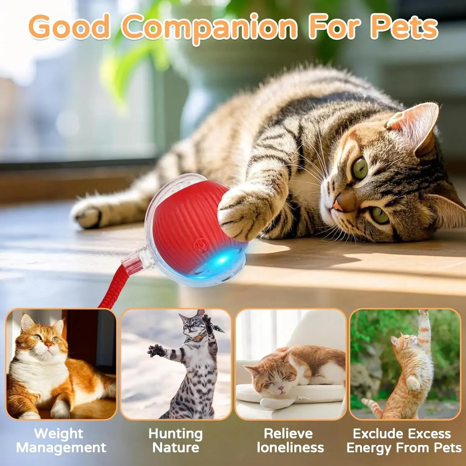 Interactive Rolling Cat Ball Toy – Rechargeable With Sounds