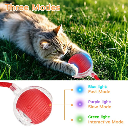 Interactive Rolling Cat Ball Toy – Rechargeable With Sounds