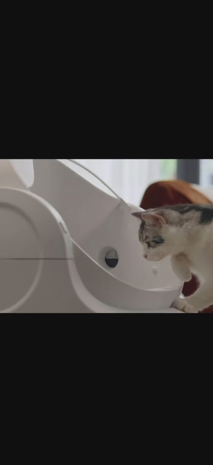 Paw Cycle